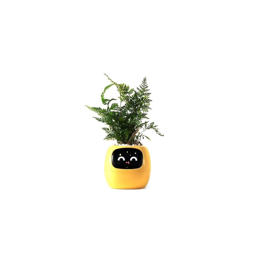 PlantsIO IVY Żółta – 2