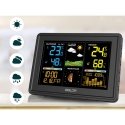 Berdsen Weather station with display BD-907 black