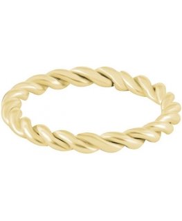 Troli Modern Gold Plated Twisted Steel Ring