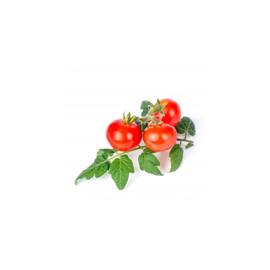 Véritable 3760262511184 growing kit/refill Mini red tomato – 2