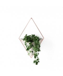 Umbra Trigg Large Wall Display