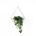 Umbra Trigg Large Wall Display