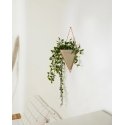 Umbra Trigg Large Wall Display