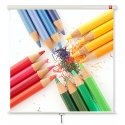 Avtek International Wall 175 проекционный экран 16:10 Avtek International Wall 175 проекционный экран 16:10