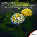 7Artisans 75mm F1.25 MILC Viso rėmelio objektyvas Juoda 7Artisans 75mm F1.25 MILC Viso rėmelio objektyvas Juoda