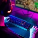 Niceboy ORYX K610 Chameleon клавиатура Игровой USB QWERTZ Чешский Черный Niceboy ORYX K610 Chameleon клавиатура Игровой USB QWERTZ Чешский Черный