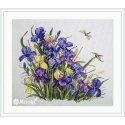 Merejka Iris SK122B Merejka Iris SK122B