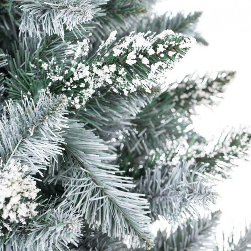 Homede CS HOM PINE PEARL 180 – 3