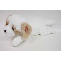 Madej Havanese Dog 60cm makaava 010747 73043 Madej Havanese Dog 60cm makaava 010747 73043