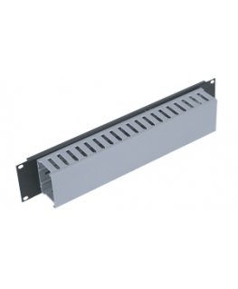 Triton 19" panel 2U with cable trunking