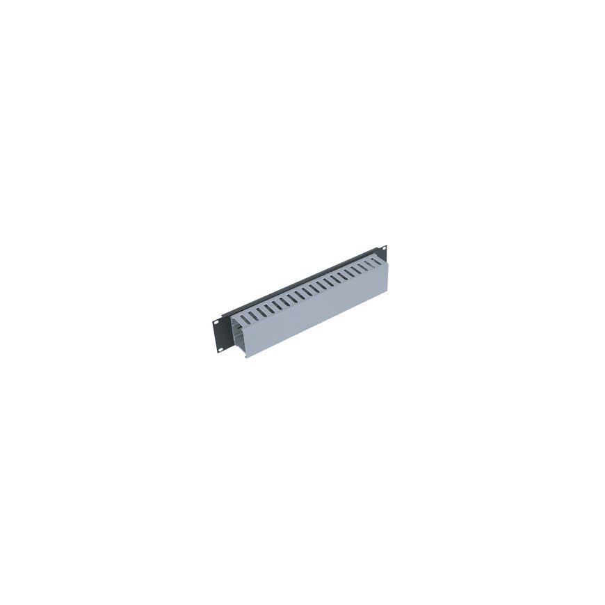 Triton 19" panel 2U with cable trunking