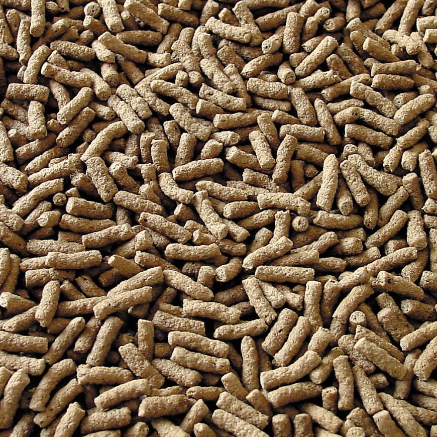 sera 07190 kalanruoka 10 L – 2