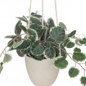 Atmosphera 193710 artificial plant Atmosphera 193710 artificial plant