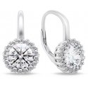 Brilio Silver Charming silver earrings with clear zircons EA746W