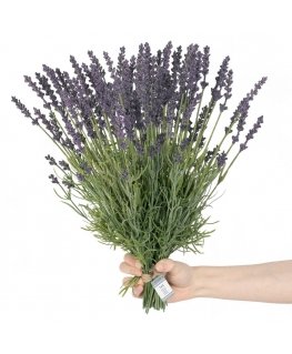 AmeliaHome Dirbtinis augalas AH LAVI 27 10 vnt.