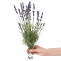 AmeliaHome Dirbtinis augalas AH LAVI 27 10 vnt. AmeliaHome Dirbtinis augalas AH LAVI 27 10 vnt.