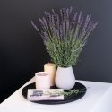 AmeliaHome Dirbtinis augalas AH LAVI 27 10 vnt. AmeliaHome Dirbtinis augalas AH LAVI 27 10 vnt.