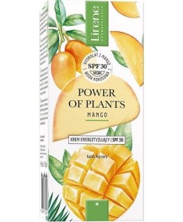 Lirene Nature Matte fluid 12 Natural with mattifying effect 30 m