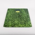Feel Maestro MR1824 personal scale Rectangle Green Electronic personal scale Feel Maestro MR1824 personal scale Rectangle Green Electronic personal scale