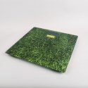 Feel Maestro MR1824 personal scale Rectangle Green Electronic personal scale Feel Maestro MR1824 personal scale Rectangle Green Electronic personal scale