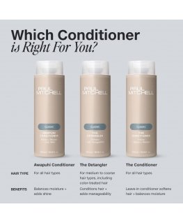 Paul Mitchell Awapuhi Wild Ginger Hydrate 250ml conditioner
