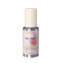 Inebrya Ice Creamy Dry-T Fluid Star 60 ml 60 ml Unisex Inebrya Ice Creamy Dry-T Fluid Star 60 ml 60 ml Unisex