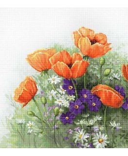 luca S Poppies SB2368