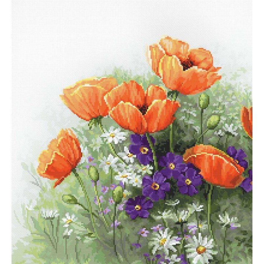 luca S Poppies SB2368