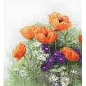 luca S Poppies SB2368 luca S Poppies SB2368