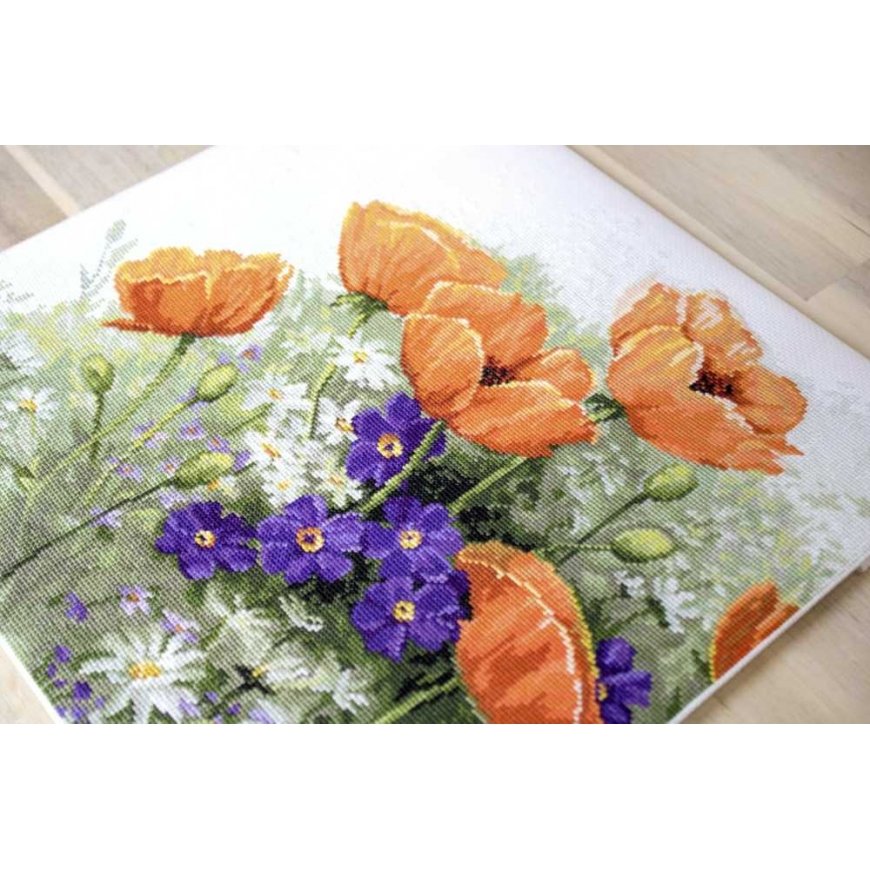 luca S Poppies SB2368 – 3