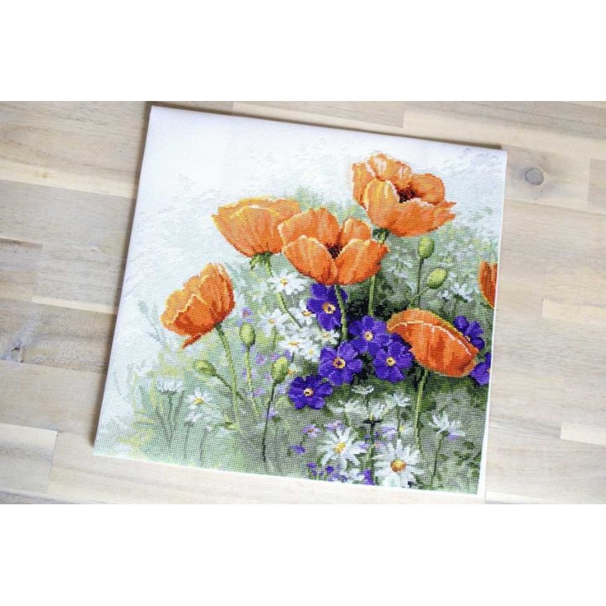 luca S Poppies SB2368 – 4