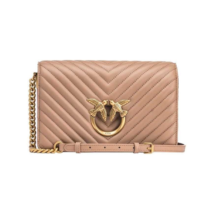 Pinko Women's Leather Crossbody Bag