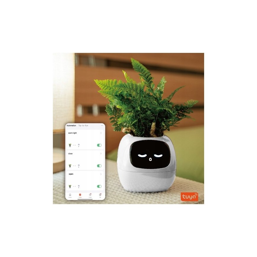 PlantsIO IVY Biała