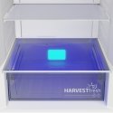 Beko B5RCNA405HG külmik-sügavkülmik Eraldiseisev 355 l D Hall Beko B5RCNA405HG külmik-sügavkülmik Eraldiseisev 355 l D Hall