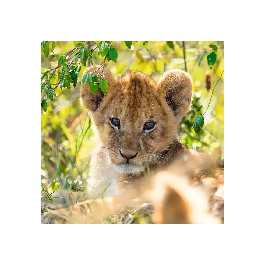 Ravensburger 05666 pusle Kontuurpusle 49 tk Animals – 2
