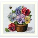 Merejka Pavasario našlaitės SK215