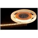 Mw Lighting Mw Lighting LED STRIP LED120-12V/9.6W-WW/5M - 3000 K MW Lighting
