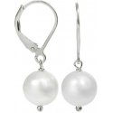 Jwl Luxury Pearls Moteriški auskarai su perlu JL0062 Jwl Luxury Pearls Moteriški auskarai su perlu JL0062