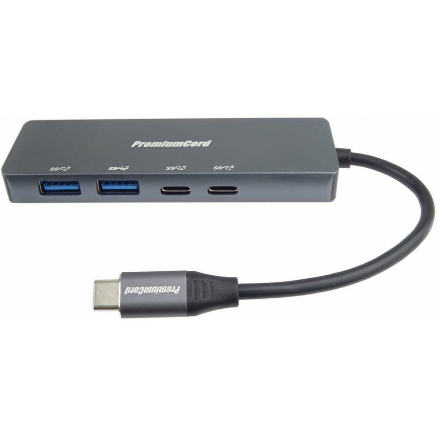 PremiumCord 10G SuperSpeed Hub USB-C iki 2x USB 3.2 C + 2x USB 3.2 A, aliuminio – 2