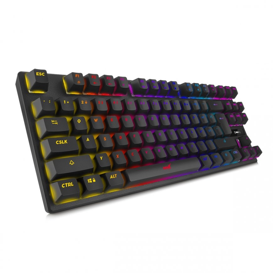 Niceboy ORYX K300X klaviatūra Žaidimams USB QWERTZ Juoda