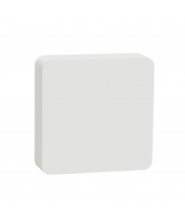Schneider Electric CCT593011 termostatas