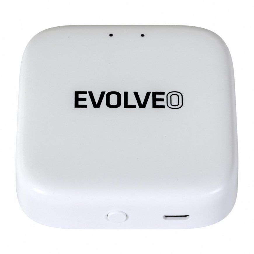 Evolveo Ptero EVORVM30SP thermostatic radiator valve Suitable for indoor use – 3