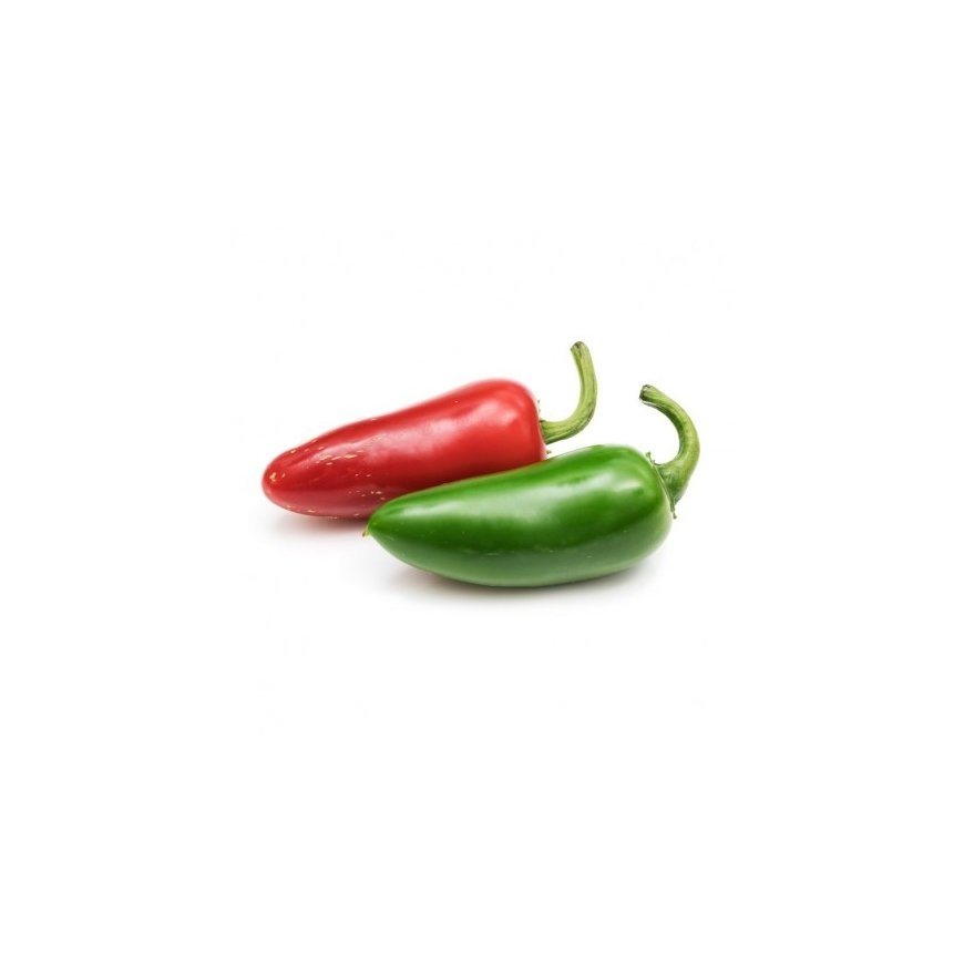 Véritable 3760262511665 growing kit/refill Chili pepper – 2