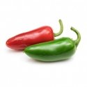 Véritable 3760262511665 growing kit/refill Chili pepper Véritable 3760262511665 growing kit/refill Chili pepper