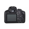 Canon EOS 4000D SLR Camera Body 18 MP 5184 x 3456 pixels Black