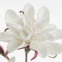 Eurofuraani KW/FLORE/742/BB