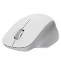 Xiaomi Mouse Comfort Edition | Wireless | 2.4GHz | White Xiaomi Mouse Comfort Edition | Wireless | 2.4GHz | White