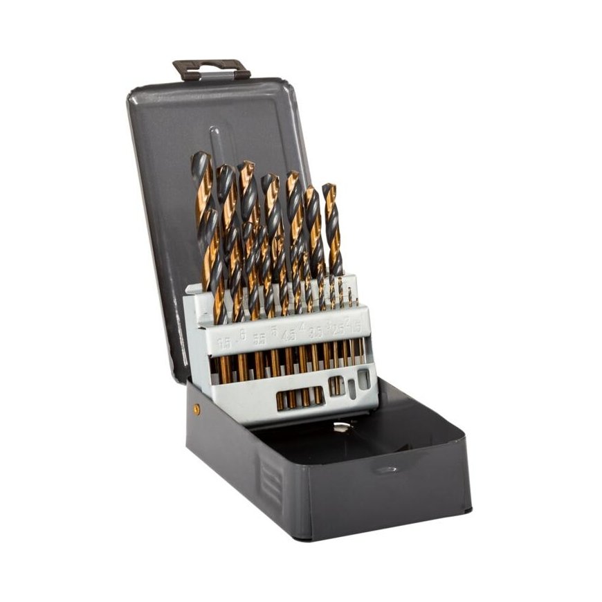 Proline Tools 79225 puuritera 25 tk