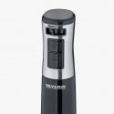 Severin SM 3771 blenderis Iegremdējams blenderis 600 W Melns, Nerūsējošs tērauds