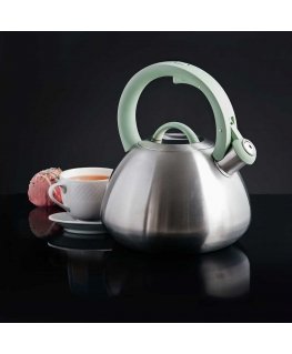 Kettle Foster 3 l mint color AMBITION